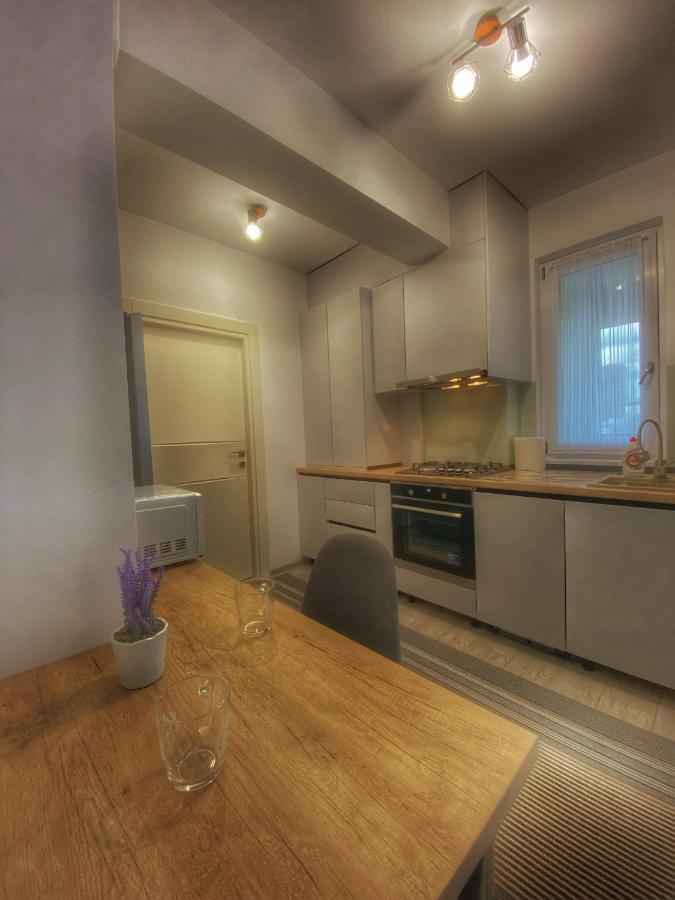 Homey Apartament 2 Rooms Palas Mall Iasi Exteriér fotografie